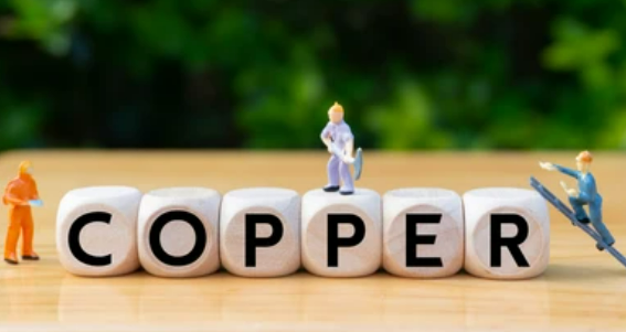 1668062403597785.png 1.png